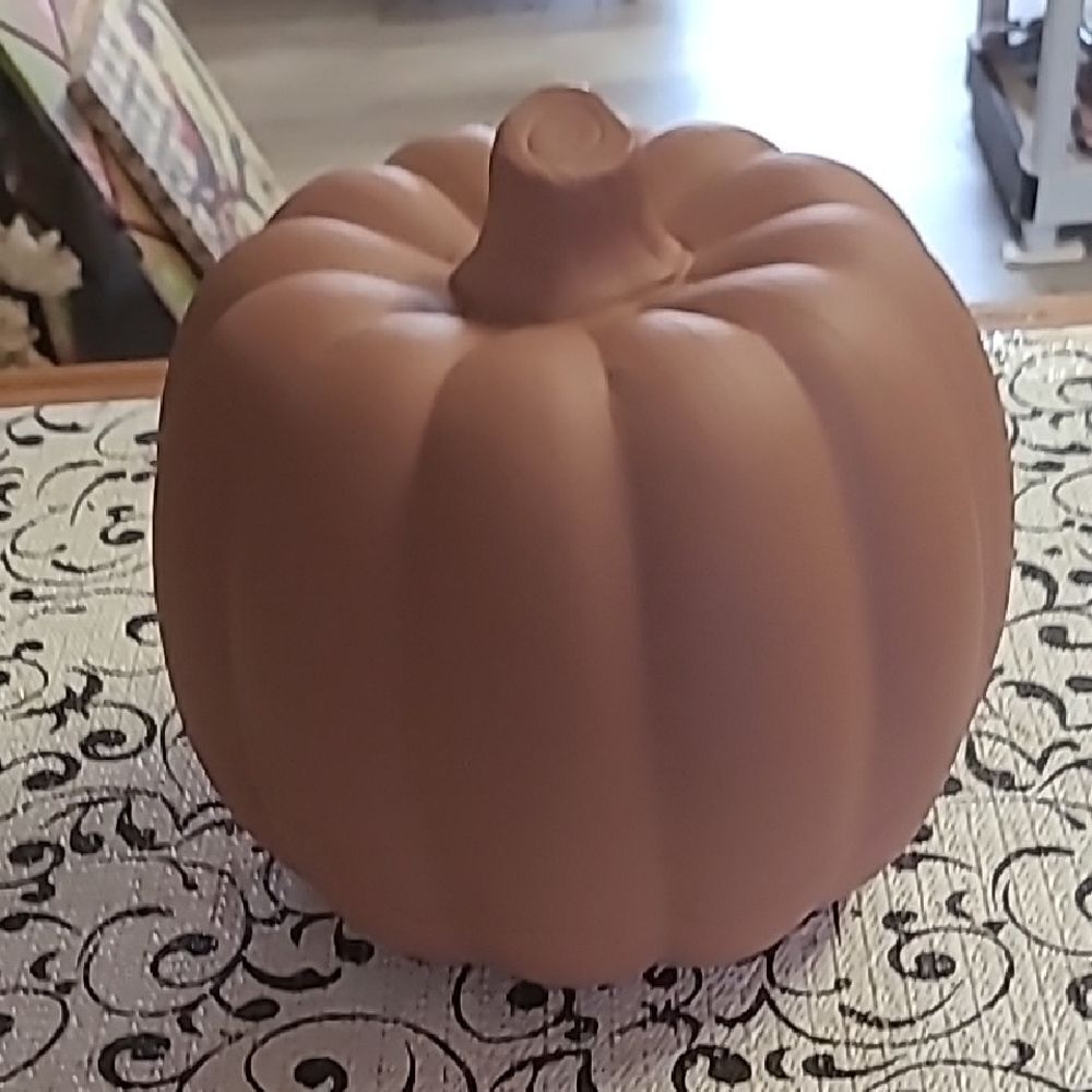 Mikasa Pumpkin 